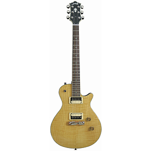 Arbor Select Arched Top Electric Guitar