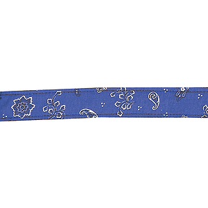 D'Andrea Guitar Strap - Blue Bandana