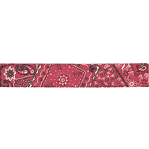 D'Andrea Guitar Strap - Red Bandana