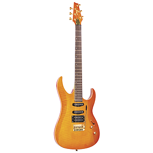 Arbor Double Cutaway Flamed Maple Top Electric Guitar - Amber