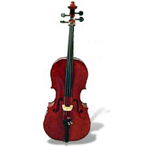 Engelhardt-Link 1/2 Size Junior Cello