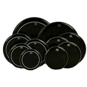 Ebony Ambassador Drum Head - 10