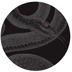 Kaces Grafix Cymbal Bag - Serpent Design