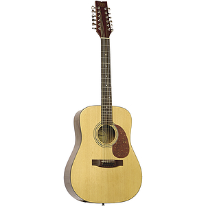 JB Player 12-string Acoustic Guitar