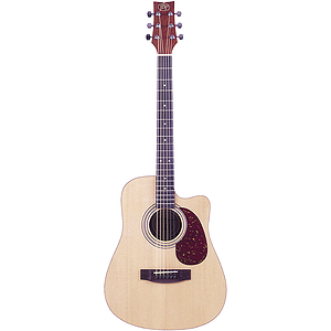 JB Player Dreadnought Acoustic-Electric Guitar