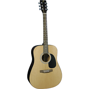 J. Reynolds 65 Dreadnought Guitar - Natural