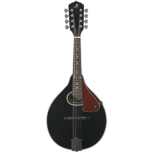 J. Reynolds JRMAN30 Mandolin  - Black