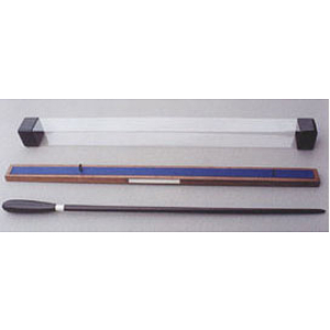 Maestro King David Gift Baton
