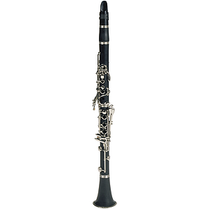 Lauren Beginner Clarinet Outfit
