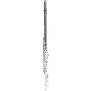 Lauren Beginner Flute Outfit