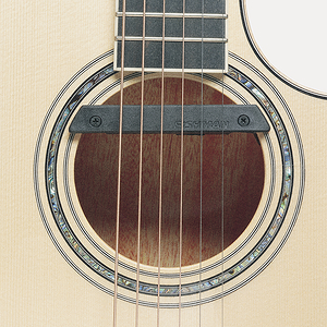Fishman Rare Earth Humbucking Acoustic Soundhole Pickup