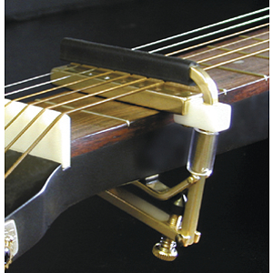 Shubb Dobro Capo