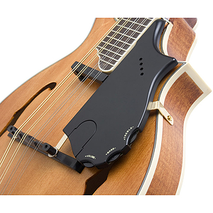 Shadow SH 927 NMG-4 Mandolin Pickup - A Style (Bluegrass)