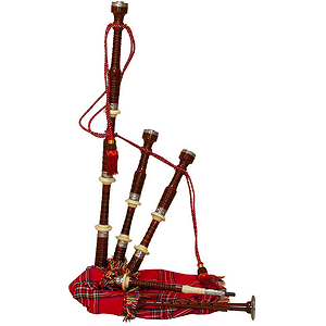 Bagpipe, Engraved, Rosewood,Tartan Cover