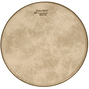Remo Banjo Head, 11", High Collar Fibers