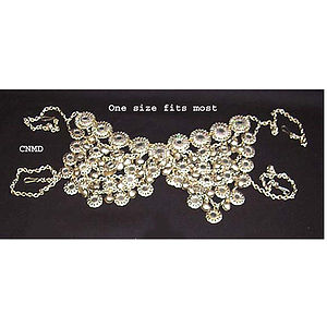 Bra Cover, Nickel, Mirror
