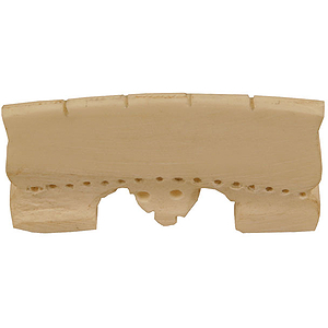 Dilruba Bone Bridge