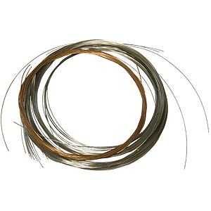 Dilruba Strings