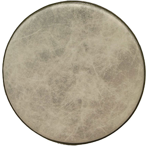 Remo Fiberskyn Head, ID 8.44"