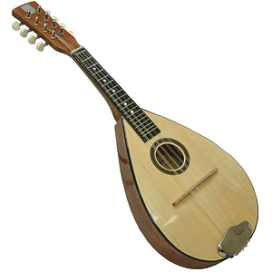 Bargain Mandolin