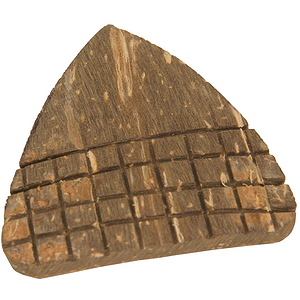Sarod Pick, 2 Pack