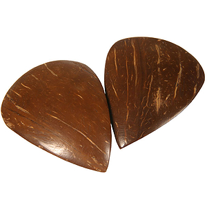 Sarod Pick, Professional 2 Pack, Sardar 