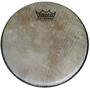 Remo SKYNDEEP Head, 3/4" Deep X 8"