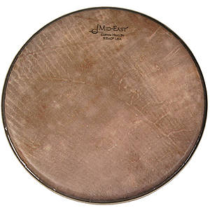 Remo SKYNDEEP Head, 3/8" Deep X 10"