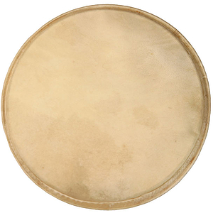 Goatskin Head for Doumbek, 12"