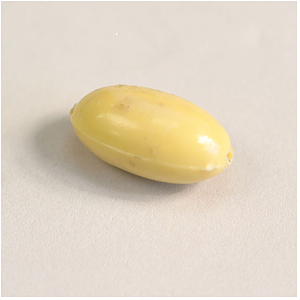Egg Bead, Plastic, Large, 2 Pack
