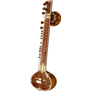 Sitar, Professional, RKS