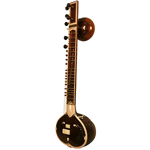 Sitar, Professional, Sardar