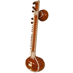 Sitar, Ultra Professional, Makhan, Case
