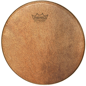 Remo Pandeiro Head, 10", Skyndeepr