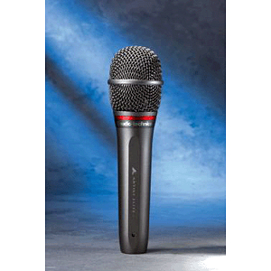 Audio-Technica Artist Elite AE6100 Hypercardioid Dynamic Vocal Microphone