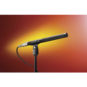 Audio-Technica BP4029 Stereo Shotgun Microphone