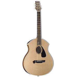 Parker PA22 Acoustic Guitar - Natural