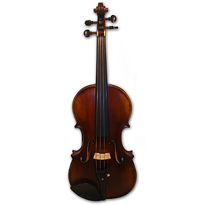 Erwin Otto 1240R European Crafted Advanced Student Violin Outfit