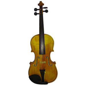 Erwin Otto 8022 Intermediate Student Violin Outfit