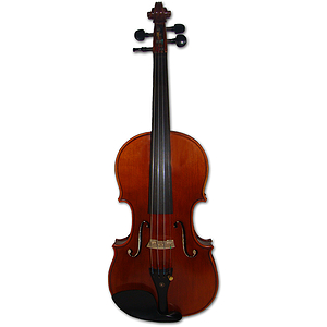 Erwin Otto 8055 Advanced Student Violin Outfit