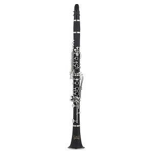 RS Berkeley University Series Beginner Clarinet Outfit