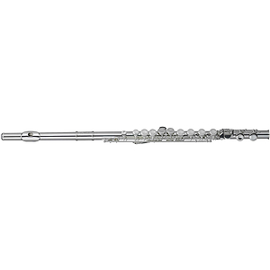 RS Berkeley University Series Beginner Flute Outfit