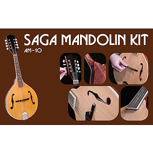 Saga AM-10 Make-Your-Own A-model mandolin Kit