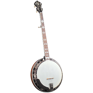 Gold Star GF-200 Banjo - Hearts & Flowers Inlays