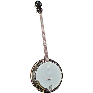 Rover RB-45P Resonator Plectrum Banjo