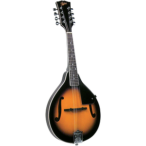 Rover RM-25S Solid Top A-model Mandolin - Sunburst
