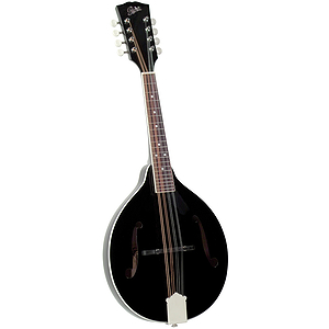 Rover RM-50B All Solid A-model Mandolin - Glossy Black