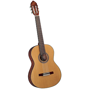 Valencia VG-35R Classical Guitar - Bubinga
