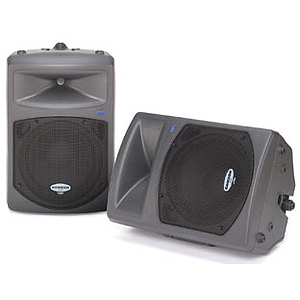 Samson DB300A 12" Active 2-Way Loudspeaker