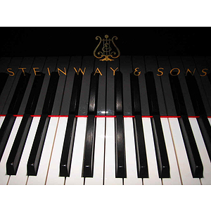 Garritan Steinway Virtual Concert Grand Piano - Standard